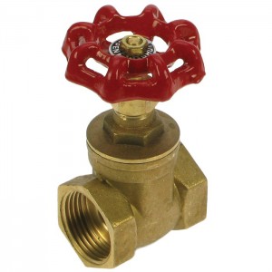 1/2" Brass gate valve
