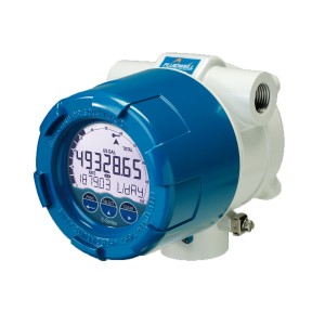E110 Explosion proof flow rate/totaliser