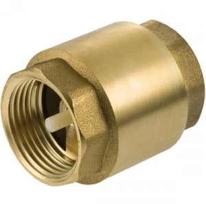 2" Brass non-return valve